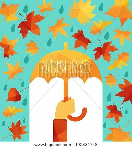 yellow wet autumn leaves on the background a dark old wood