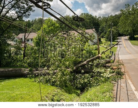 Broken snapped wooden power line post with electrical components on the ground after a storm