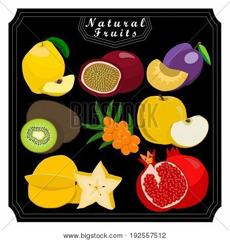 Vector illustration logo fruit melon strawberries kiwi watermelon persimmon pomegranate coconut strawberry passion fruit goji berry guava cranberry gooseberry papaya mango.