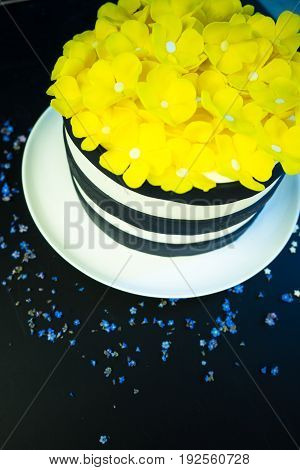 Festive Cake Concept