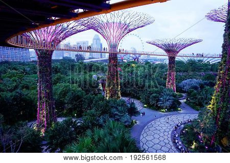 Singapore, Singapore - February 14, 2017: People walk around evening supergrove trees in Gardens By the Bay, situated in Marina Bay area in Singapore, it's a new design garden with innovative.