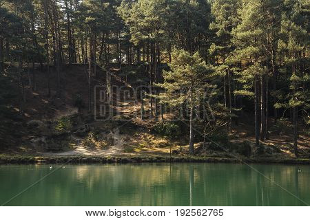 Beautiful Vibrant Landscape Image Of Old Clay Pit Quarry Lake With Unusual Colored Green Water