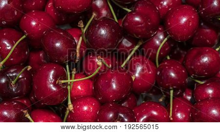cherry detail macro of delicious fresh ripe red cherries with bright green stem, perfect food background Sweet cherry background. Cherry from Bolea Aragon Huesca Spain