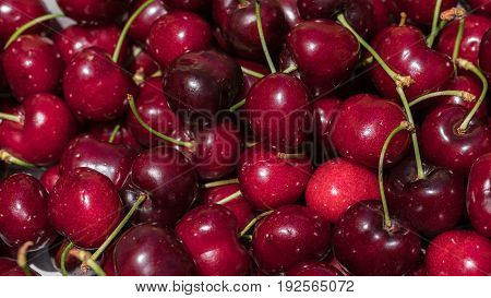 cherry detail macro of delicious fresh ripe red cherries with bright green stem, perfect food background Sweet cherry background. Cherry from Bolea Aragon Huesca Spain