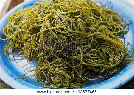 Fresh local seaweed (Gracilaria fisferi) in Thailand market