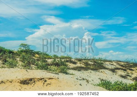 Yellow Sand In The Desert, Vietnam