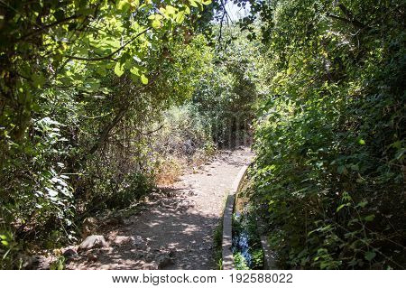 Path passing through a wooded next to a small water channel and descending to the Amud River