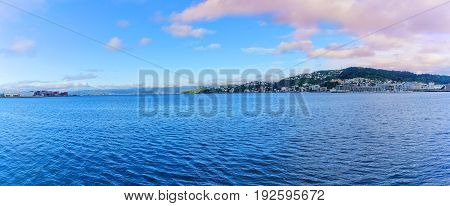 Panoramic image of Wellington habour capital of New Zealand North Island of New Zealand