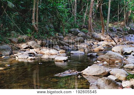 Small mountain stream in the shade of the tropical forest Mu Koh Chang National Park, Thailand. View from the trail to Khlong Phlu waterfall. Natural background.