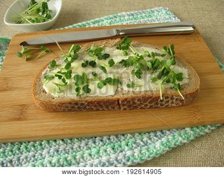 Rye Bread with Butter and fresh Radishes Sprouts