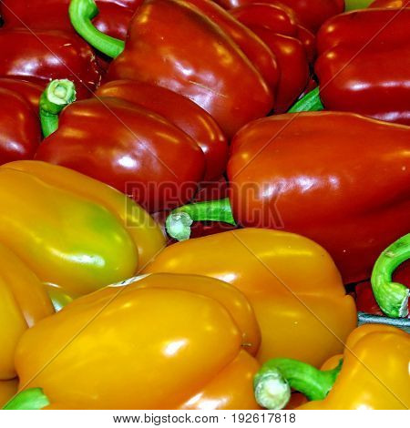 Orange and red pepper in Markham Canada June 24 2017