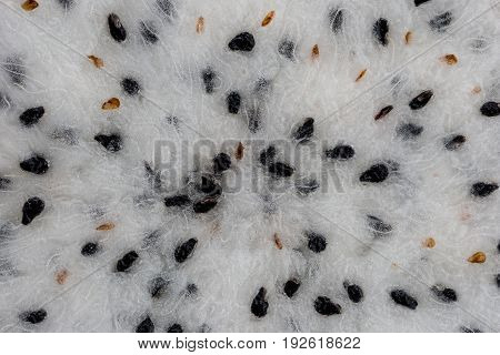 Close up of crossection dragon fruit inside