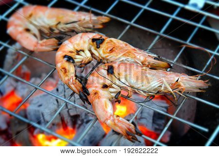Grill Shrimp In Hot Fire