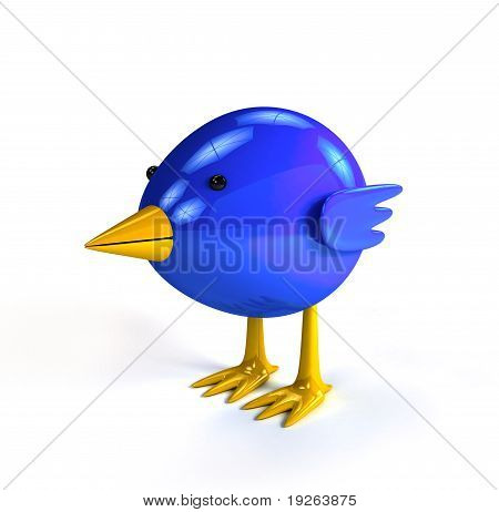 Bluebird littlle sobre fondo blanco