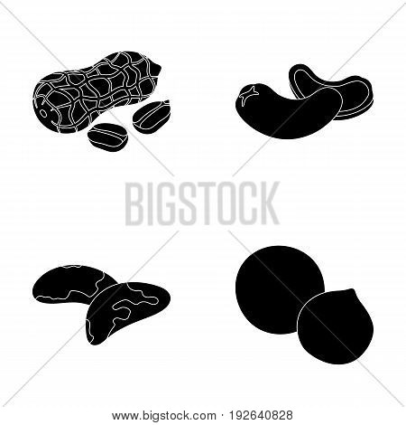 Peanuts, cashews, brazil nuts, macadamia.Different kinds of nuts set collection icons in black style vector symbol stock illustration .