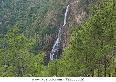 1000 Foot Falls - Waterfalls in the Mountain Pine Ridge, Belize