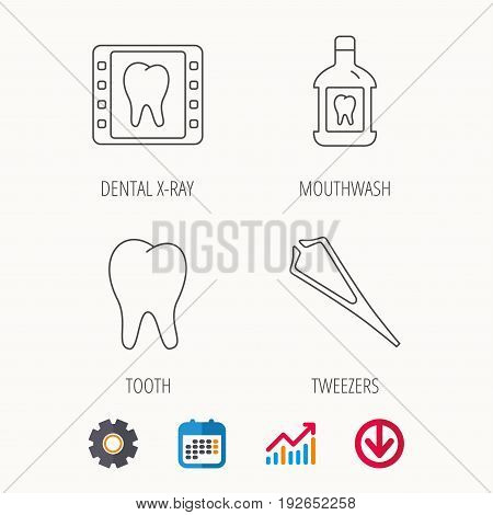 Mouthwash, tooth and dental x-ray icons. Tweezers linear sign. Calendar, Graph chart and Cogwheel signs. Download colored web icon. Vector