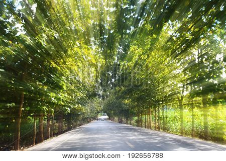 Road in motion speed on the forest road blurred background concept Tunnel effect or Visual tunnel phenomenon