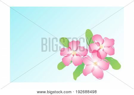 vector water color pink azalea flower. abstract floral illustration