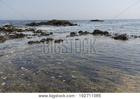 Landscape In Summer In Tabarca Island.