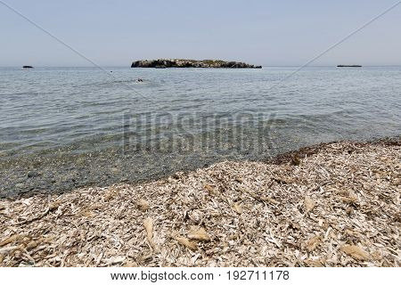 Landscape In Summer In Tabarca Island.
