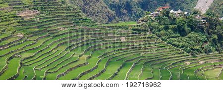 Panoramic view of the Batad rice field terraces in Ifugao province Banaue Philippines