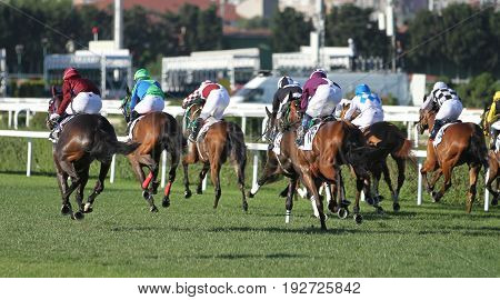 Istanbul Horse Race