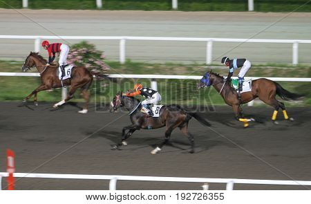 Istanbul Horse Race