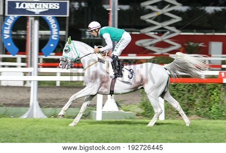 Istanbul Horse Race