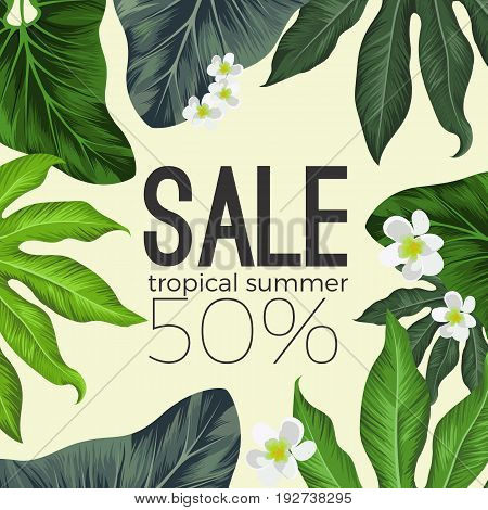 Tropical summer sale banner with flowers and leaves. Tender white narcissus peep out aralia and alocasia leaves vector illustrations that surrounds sign.