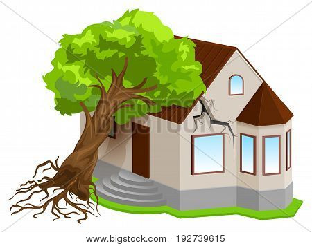 Property insurance against natural disasters. Earthquake tree fell on house. Isolated on white vector 3d illustration