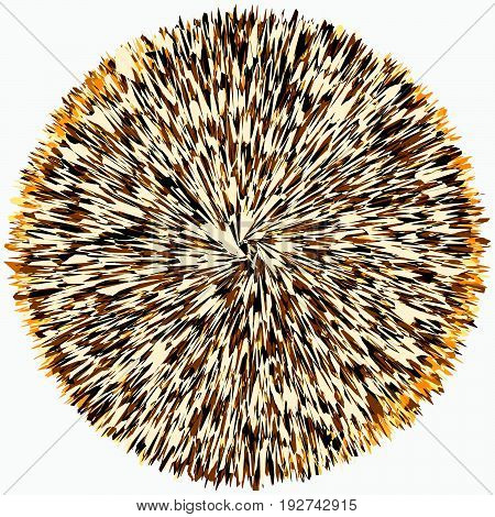 Abstract Skein-like Tangled Circle. Round Shape With Overlapping Radial Shapes