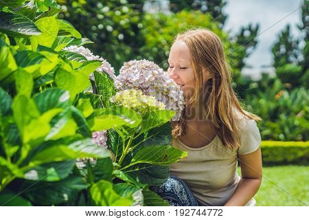 Young Woman On The Background Of Light Pink Hydrangea Blooming In The Garden
