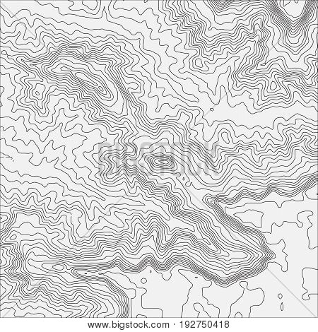 Topographic map background concept with space for your copy. Topo contour map background, vector
