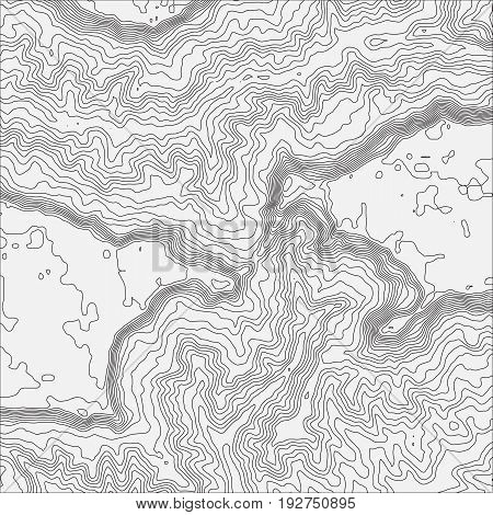 Topographic map background concept with space for your copy. Topo contour map background, vector