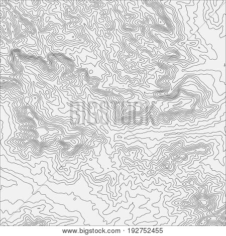 Topographic map background concept with space for your copy. Topo contour map background, vector