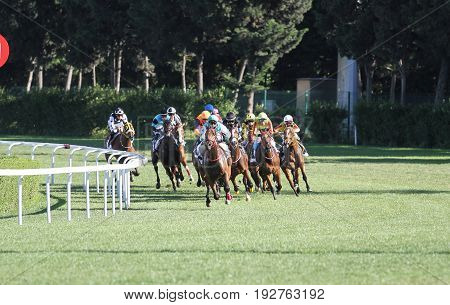 Istanbul Horse Race