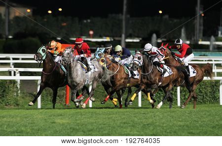 Istanbul Horse Race