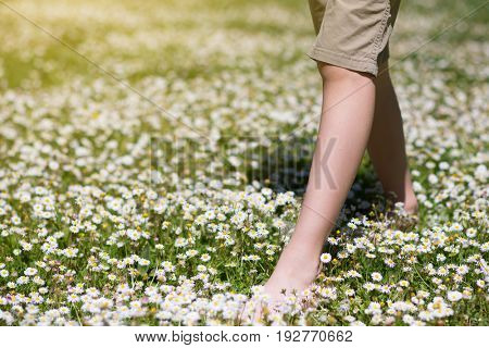 Child's feet in daisy closeup view. Shoeless boy walking on spring meadow. Little boy lying on summer meadow green grass with daisy. 
