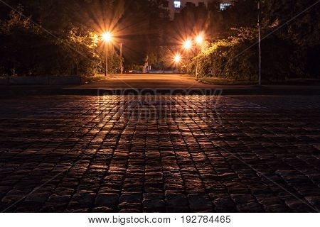 Glistening paving stone from the light of street lamps in the park. Night scene