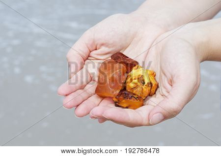 Amber in the hand with a bright reflection on the palm against the background of the sea. Bright glow of the sun stone in female hand. Mineral from resin yellow with insects inside against the sea.