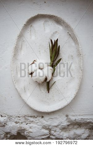 Top view on chamotte clay oval plate with cotton flower and leucadendron twig on white windowsill in workshop