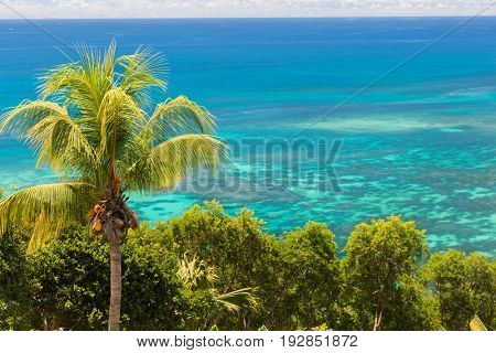 travel, landscape and nature concept - view to indian ocean from island with palm tree