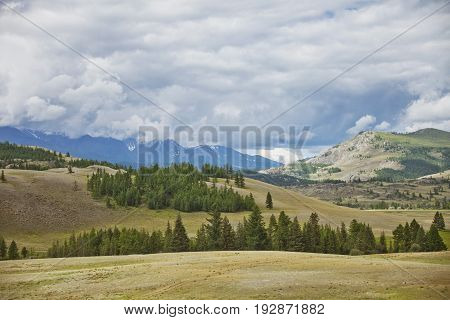 Altai Mountain Summer Landscape Near Kurai.