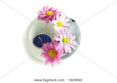 花陰と陽