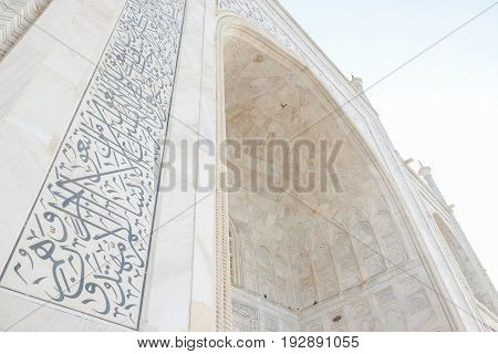 Details of Wall of Taj Mahal in Agra India