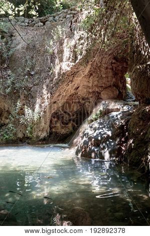 Small pond in a forest stream Amud in the north of Israel