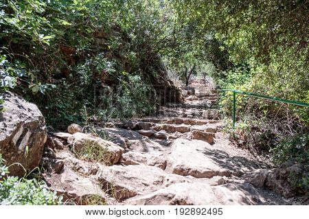Path passing through a wooded and descending to the Amud River
