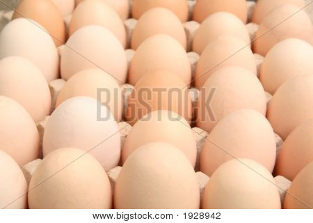 Frische Eier
