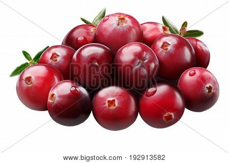 Piles Of Cranberries With Leaves, Paths
